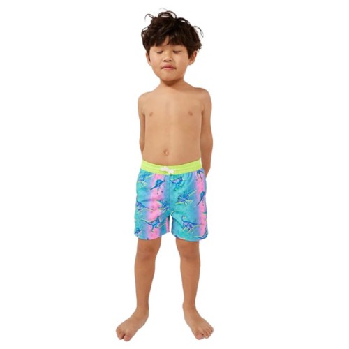 Chubbies Baby Boys 6 24 Months Family Matching Dino Delights Swim Trunks 6 12 Months