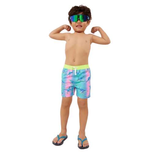 Toddler Boys' Chubbies Magic Classic Swim Trunks