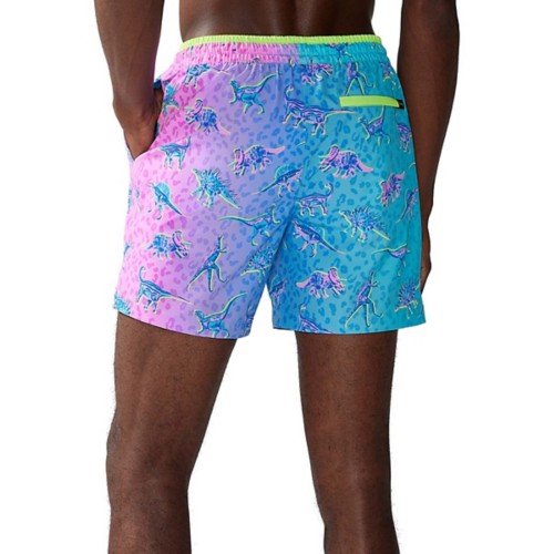 Men's Chubbies Lined 5.5" Swim Trunks