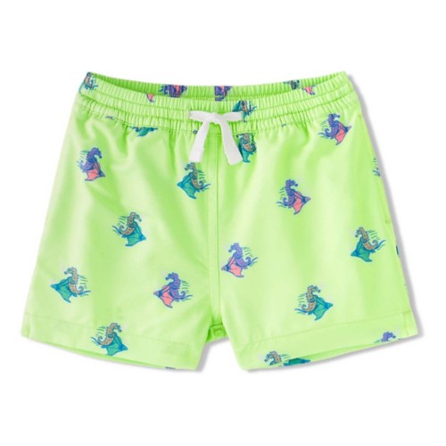 Toddler Boys' Chubbies Classic Stretch Swim Trunks