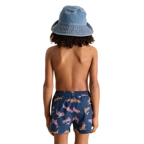 Boys' Chubbies Lined Classic Swim Trunks