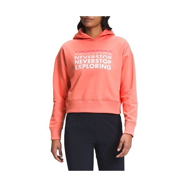 Women's The North Face Logo Play Hoodie product image