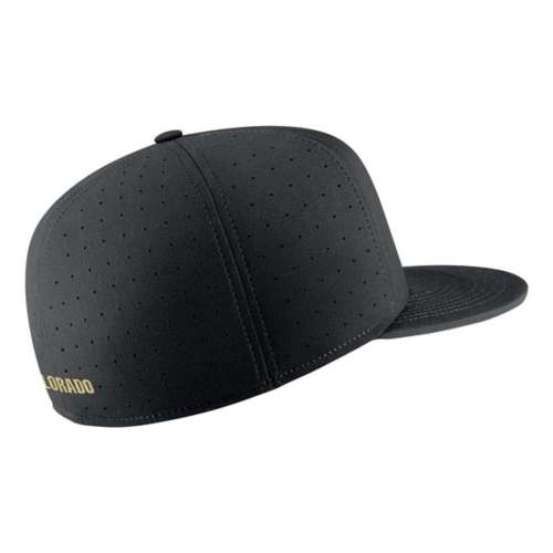 Nike true best sale vapor hat