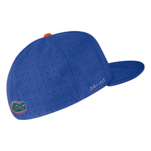 Nike Florida Gators True Baseball Fitted Hat