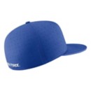 Nike Air Force Falcons True Baseball Fitted Hat