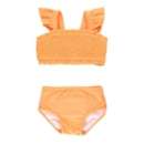 Toddler Girls' RuffleButts Smocked Swim Bikini Set