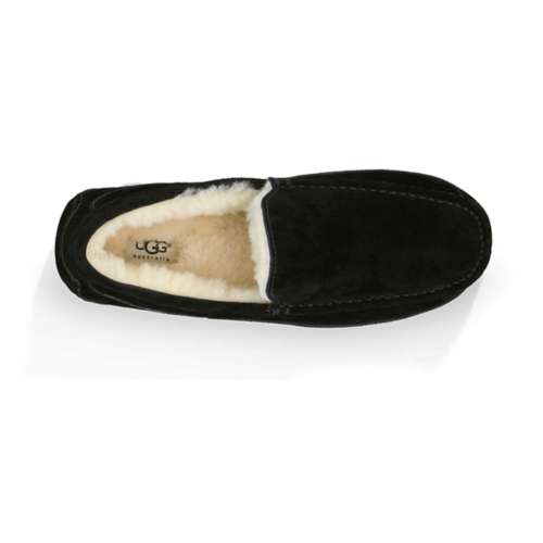 Men's Ghete ugg Ascot Leather Slippers