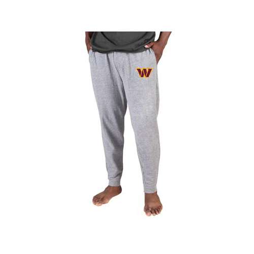 Baltimore Ravens Concepts Sport Mainstream Pants - Gray