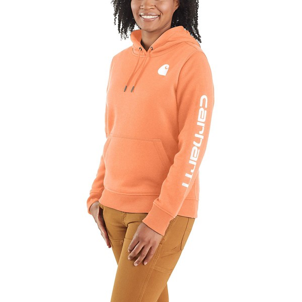 Women's Carhartt Clarksburg Graphic Sleeve Hoodie product image