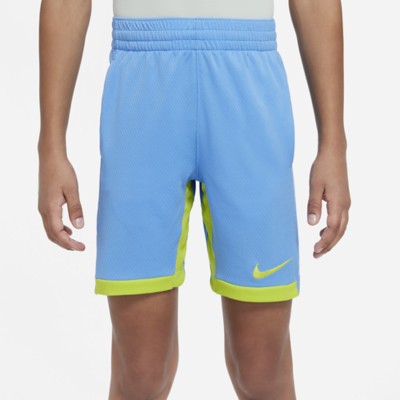Kids' Nike Dri-Fit Trophy Shorts | SCHEELS.com