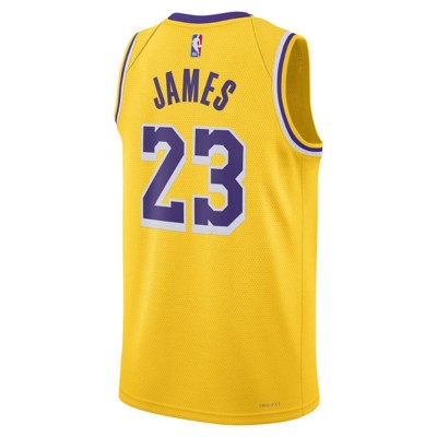 Nike Los Angeles Lakers LeBron James #23 Swingman Jersey | SCHEELS.com