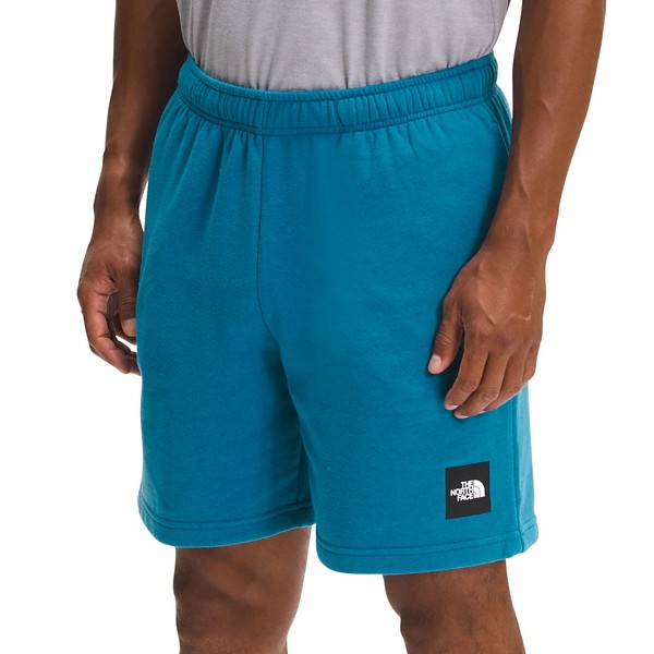 Men's The North Face Never Stop Shorts product image