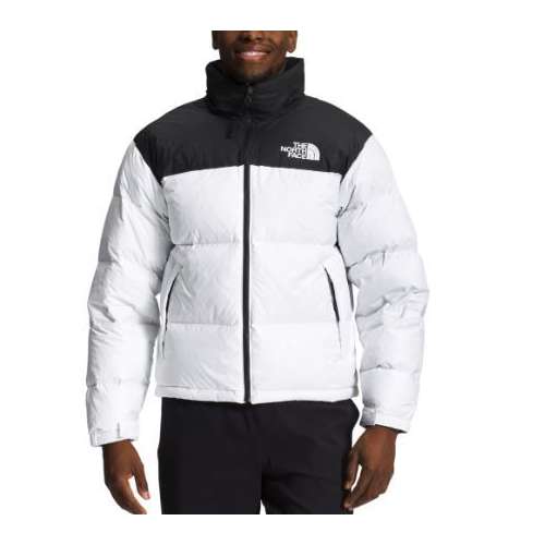 A Case for a North Face Nuptse 1996 Puffer