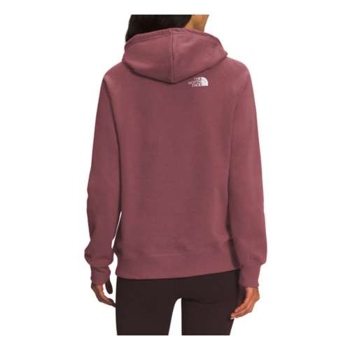 Women's The North Face Graphic Injection Hoodie