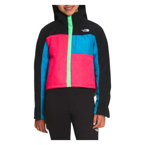 North face mashup online hoodie