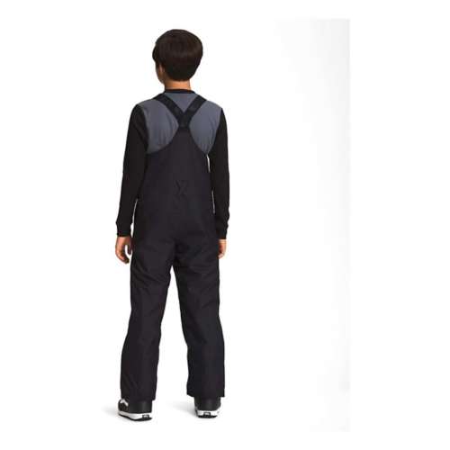 Kid's The North Face Teen Freedom Insulated Bibs