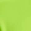 Lime Surge