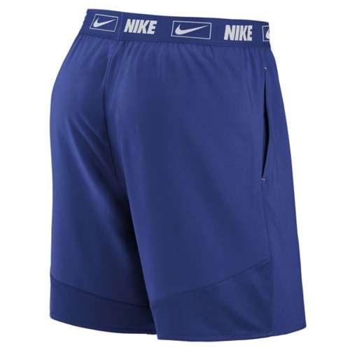Nike Kids' Chicago Cubs Prime Time Shorts