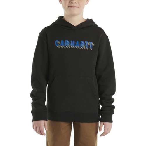 Toddler Carhartt Graphic Logo Courr hoodie