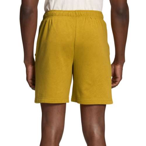 Men's The North Face Never Stop Shorts