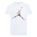 Kids' makeover Jordan Watercolor Jumpman T-Shirt