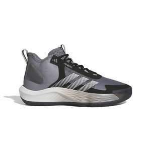 Scheels womens hot sale basketball shoes