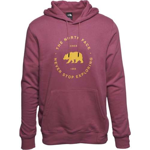 Men's The North Face Bearscape Circle Logo Hoodie