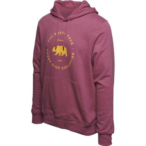 Men's The North Face Bearscape Circle Logo Hoodie