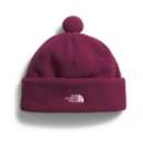 Men's The North Face Cragmont Fleece Beanie