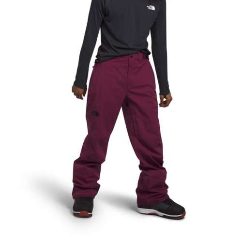 Men's The North Face Freedom Stretch Pants