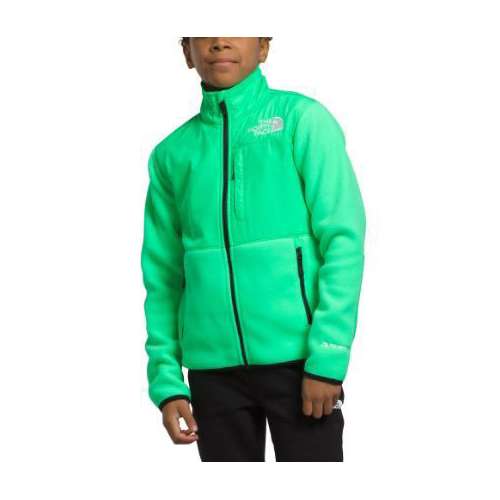 The north face hot sale denali sale