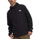 Men's The North Face Alpine Polartec 100 Hoodie