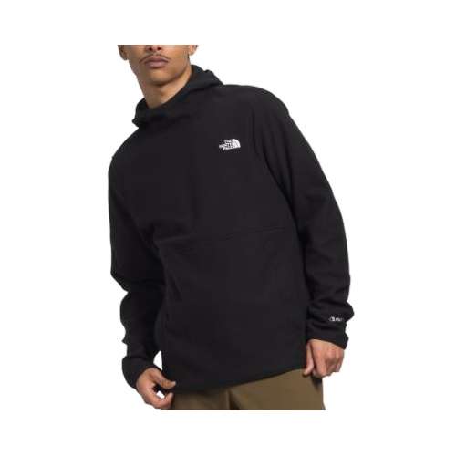 Men's The North Face Alpine Polartec 100 Hoodie