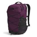 Black Currant Purple/TNF Black