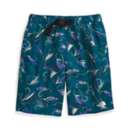 Boys' The North Face Amphibious Class V Belted Hybrid Shorts