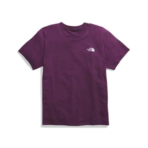 Men's The North Face Evolution Box Fit T-Shirt