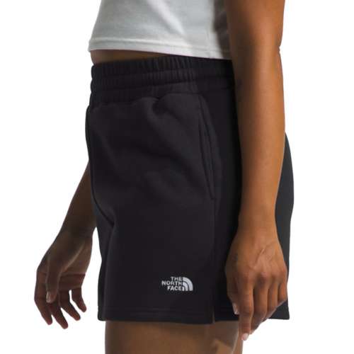 Women's The North Face Evolution Shorts | SCHEELS.com