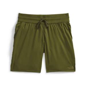 The North Face Men's Wander 2.0 Shorts, Medium, Forest Olive