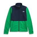 Women's The North Face Alpine Polartec 100 Fleece Jacket