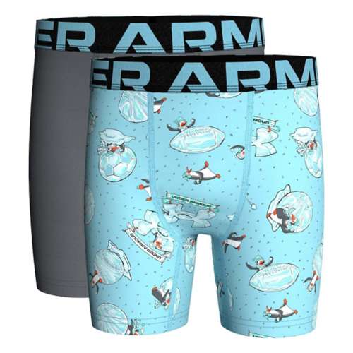 Boys' Under Armour Holiday + Solid 2 Pack Boxer Briefs