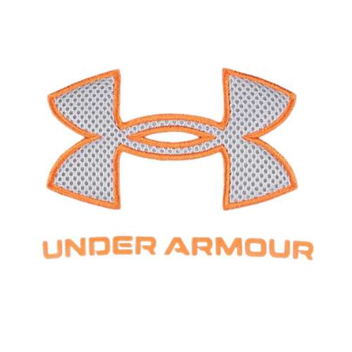 Toddler Boys' Under Armour Mesh Logo Hoodie