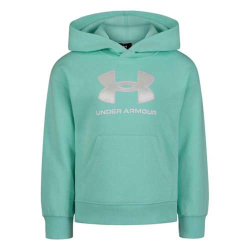 Toddler Girls' Under Armour Satin Applique Logo Hoodie