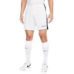 Men's Nike Dri-FIT Academy Soccer Shorts - Thumbnail 2 of 6