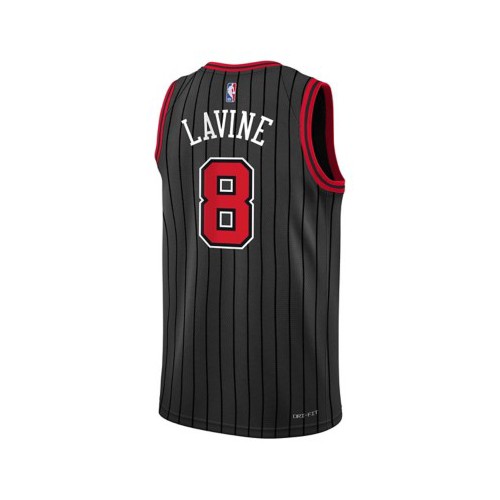 Nike Kids Chicago Bulls Zach LaVine 8 2022 Statement Jersey SCHEELS