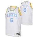 Nike Kids' Los Angeles Lakers LeBron James #6 Hardwood Classic Jersey