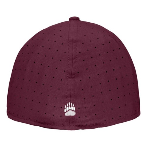 Nike Montana Grizzlies Onfield Baseball Fitted Hat