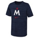 Nike Kids' Minnesota Twins 2023 Velocity T-Shirt