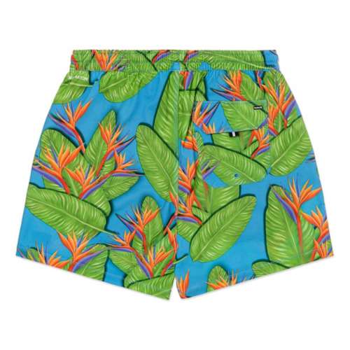 Men's Hurley Phantom Naturals Pool Swim Trunks