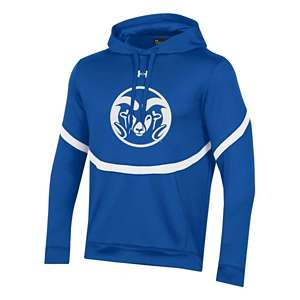 Under armour hot sale college hoodies