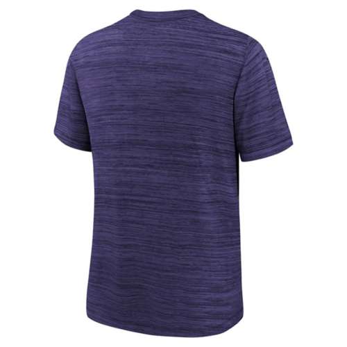 Nike Kids' Baltimore Ravens 2023 Team Velocity T-Shirt